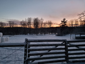 NY AR 3 2025.jpg